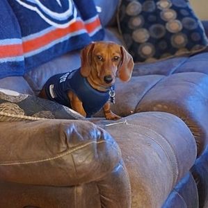 Meet your Posher, Gail